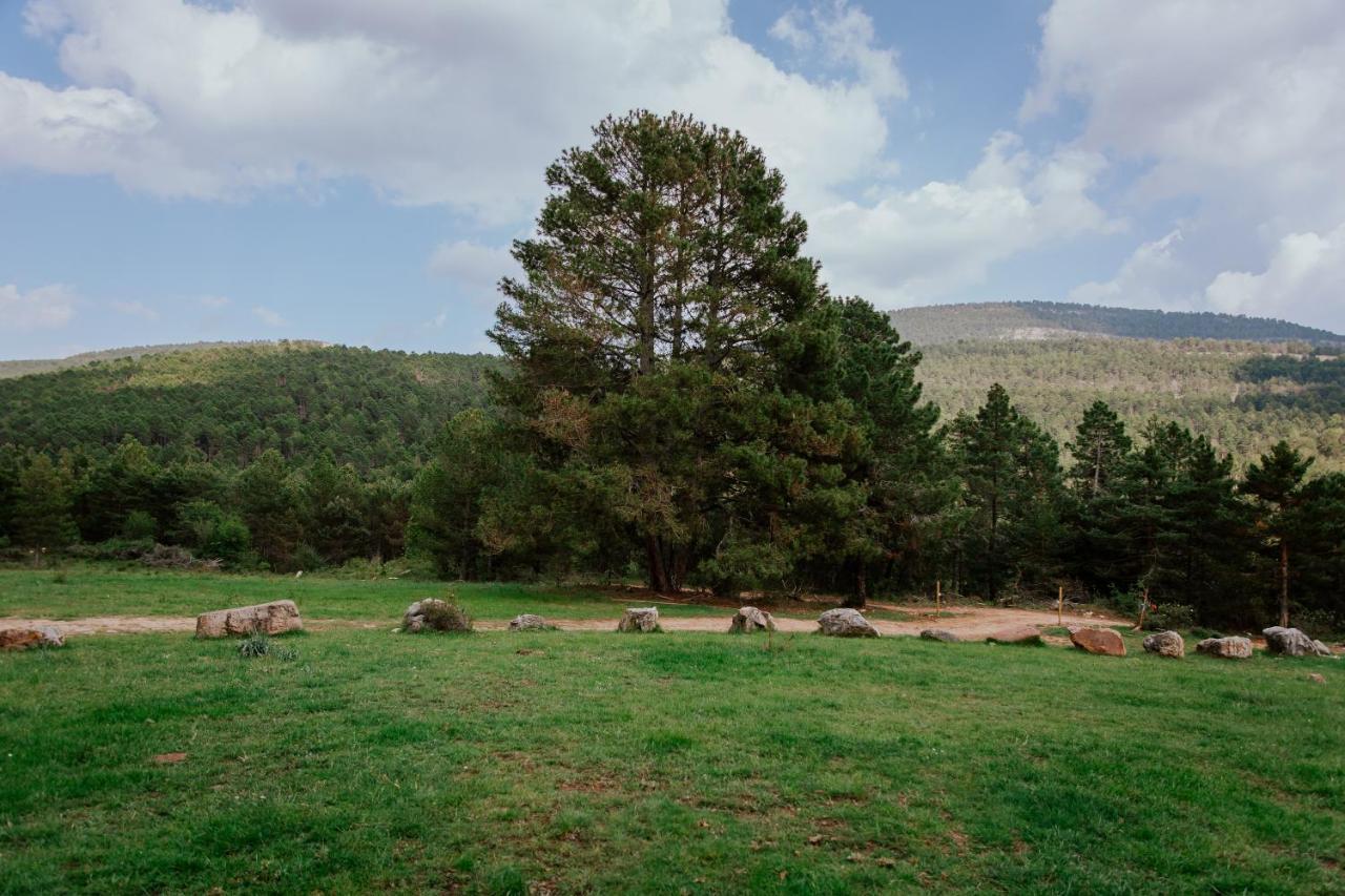 Cotanda - Casa De Montana Aislada En El Macizo Del Penyagolosa Пуертомінгальво Екстер'єр фото